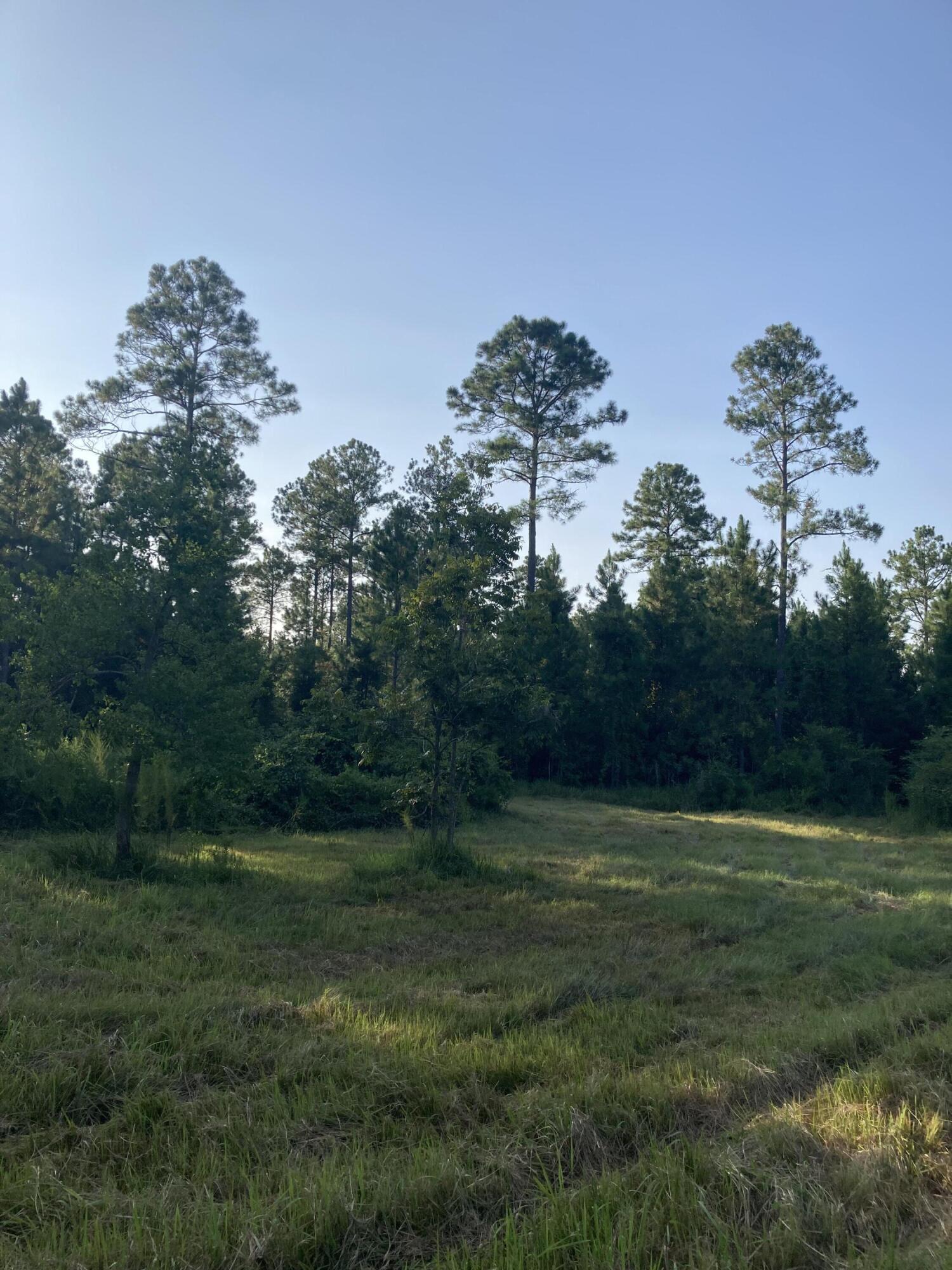 Cypress Crossing - Land