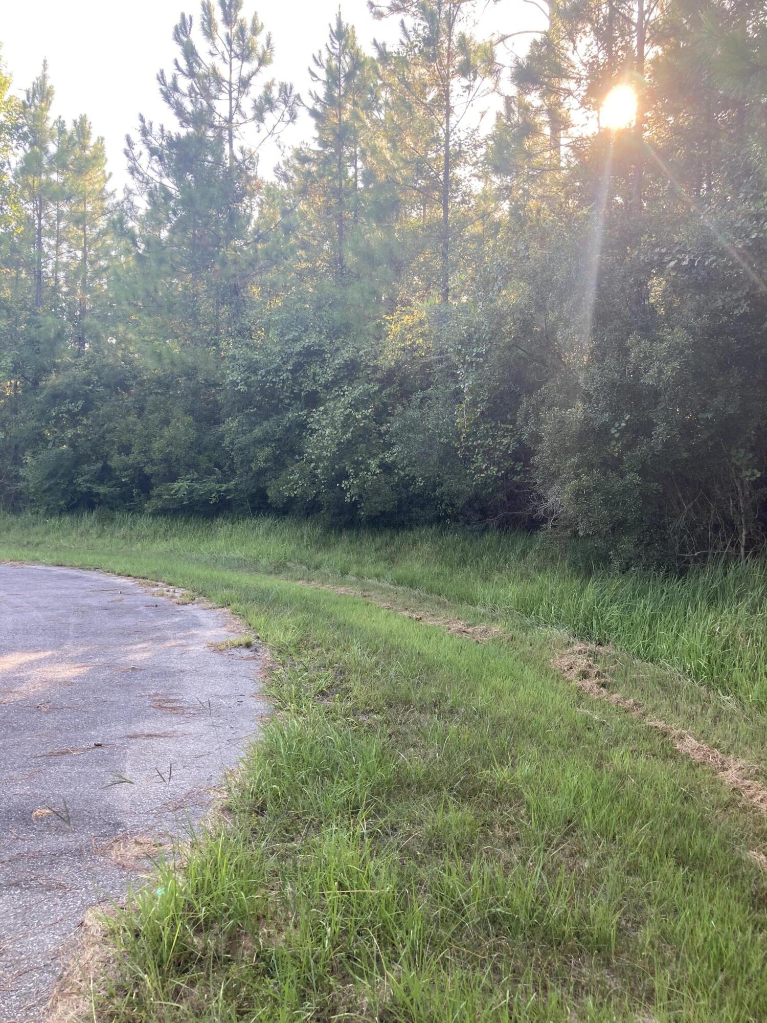 Cypress Crossing - Land
