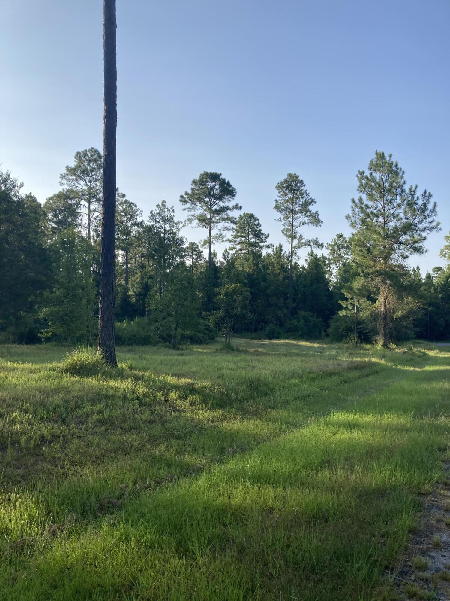 Cypress Crossing - Land