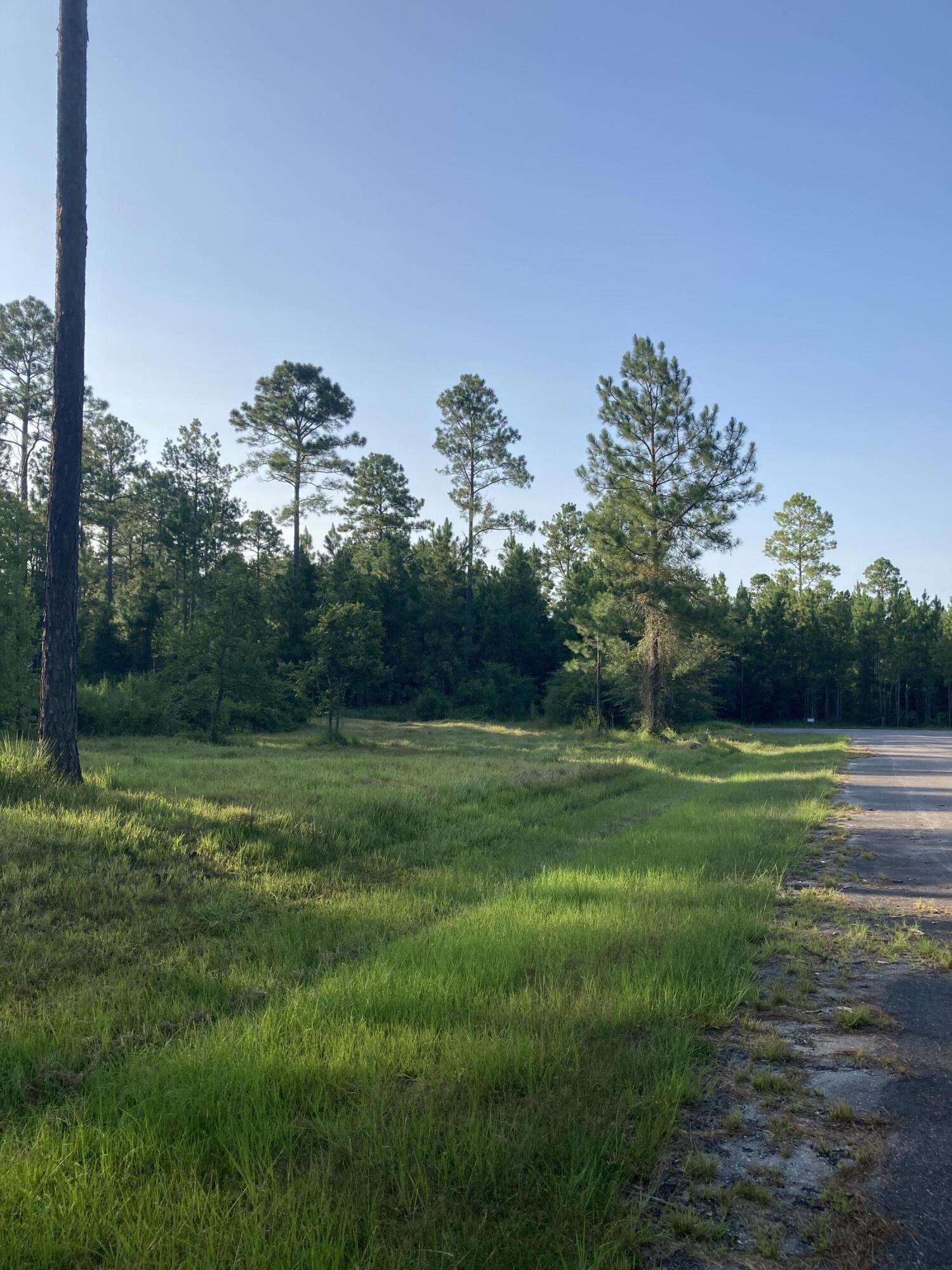 Cypress Crossing - Land