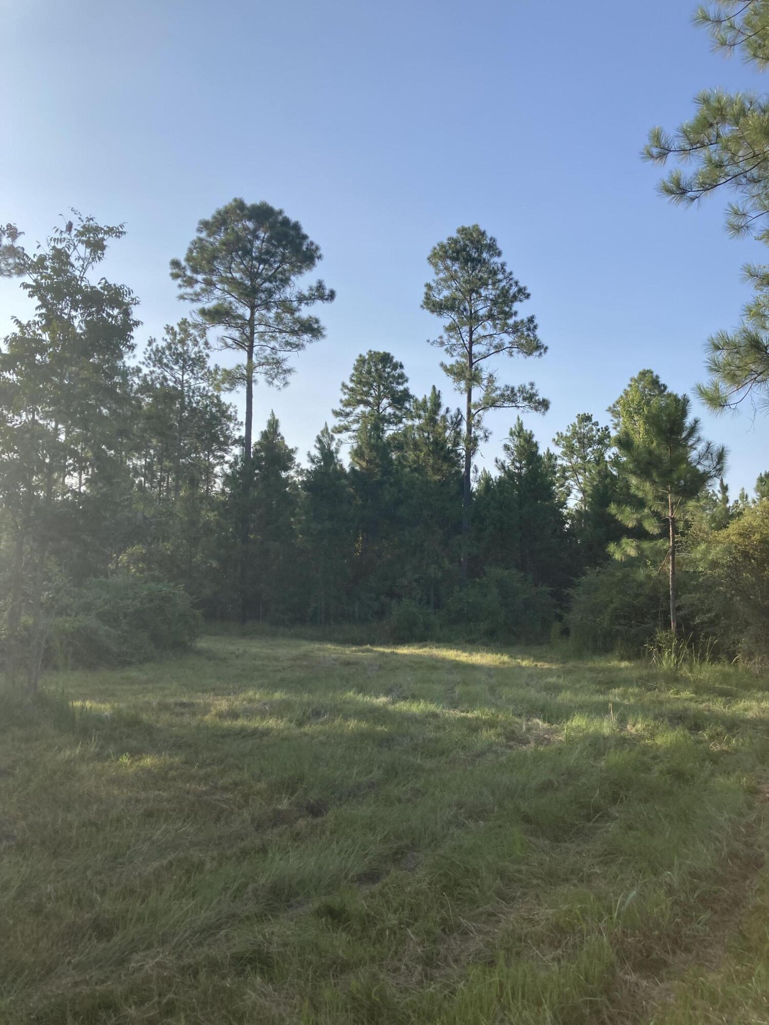 Cypress Crossing - Land