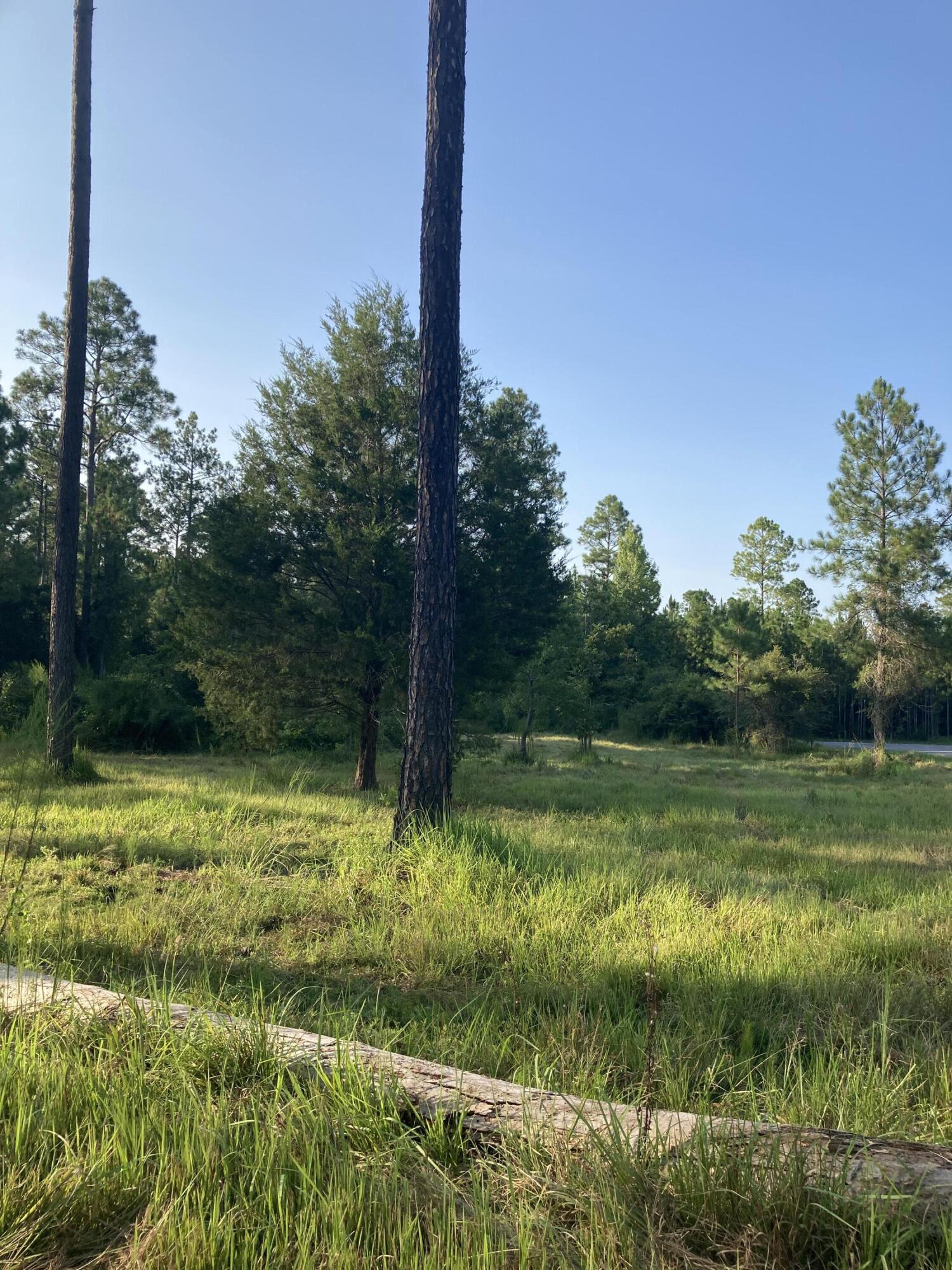 Cypress Crossing - Land