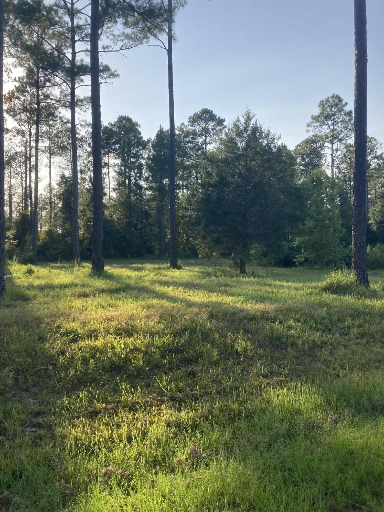 Cypress Crossing - Land
