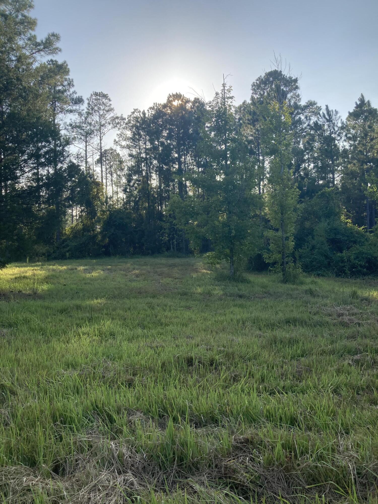 Cypress Crossing - Land