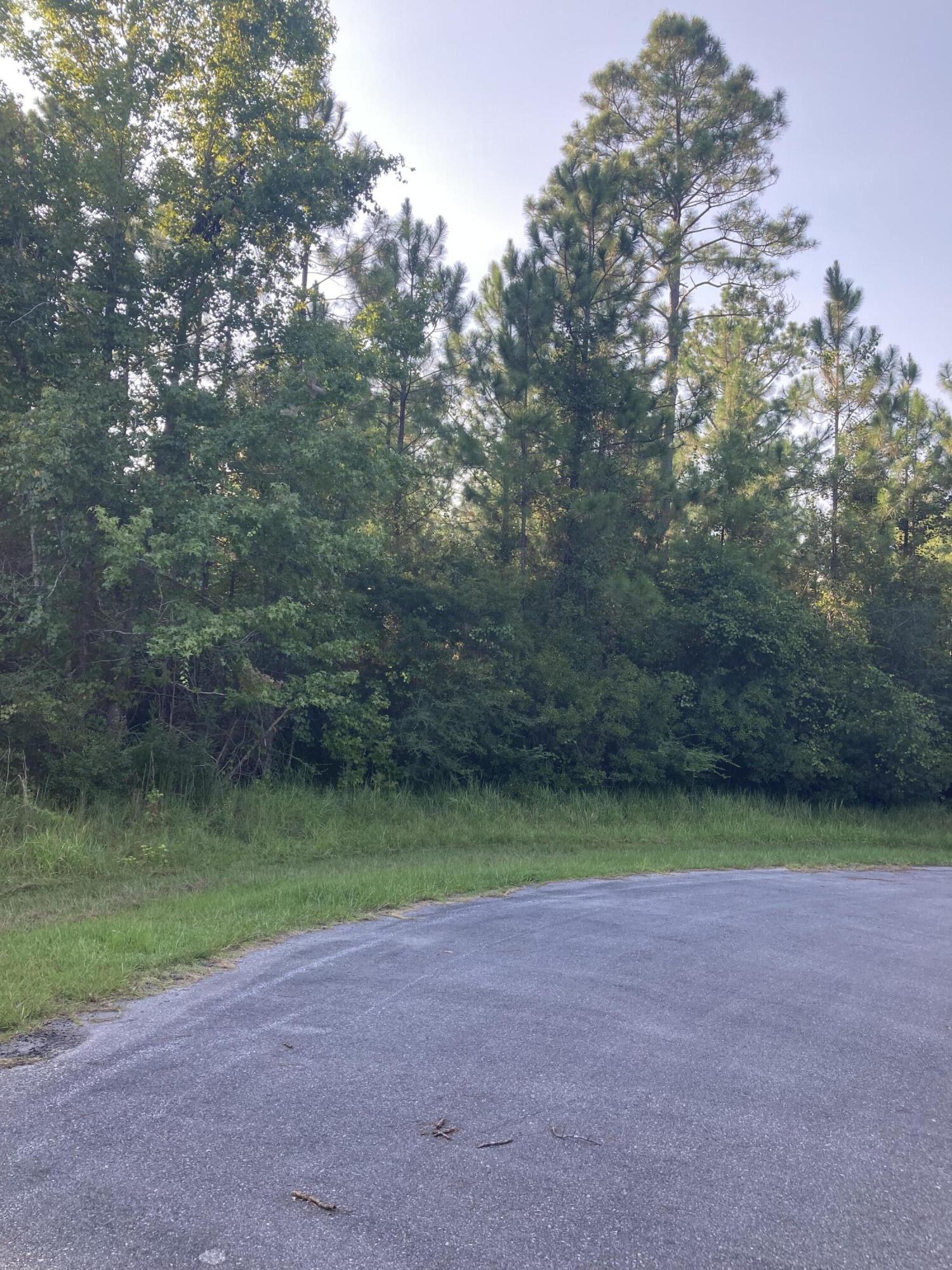 Cypress Crossing - Land