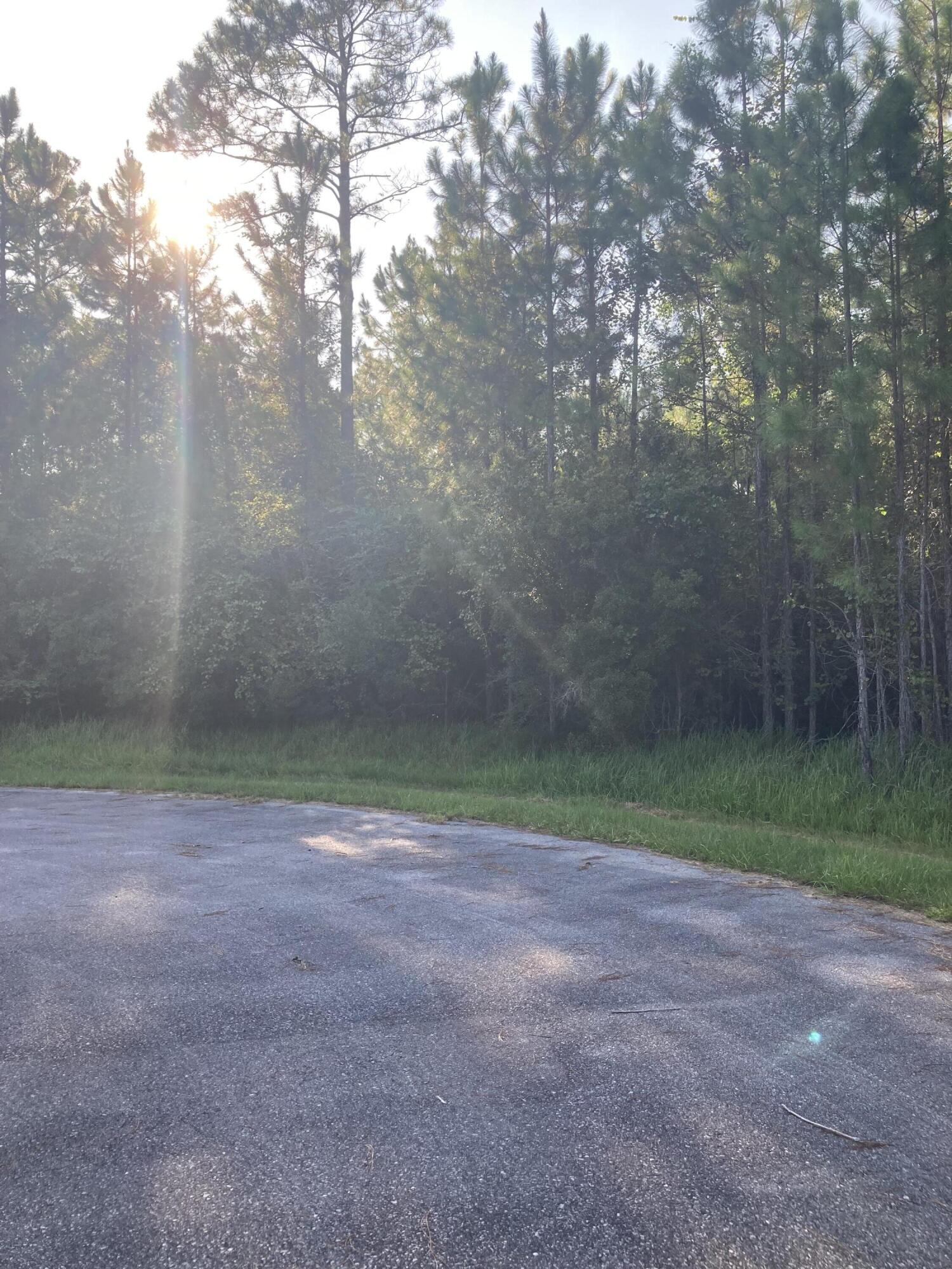 Cypress Crossing - Land