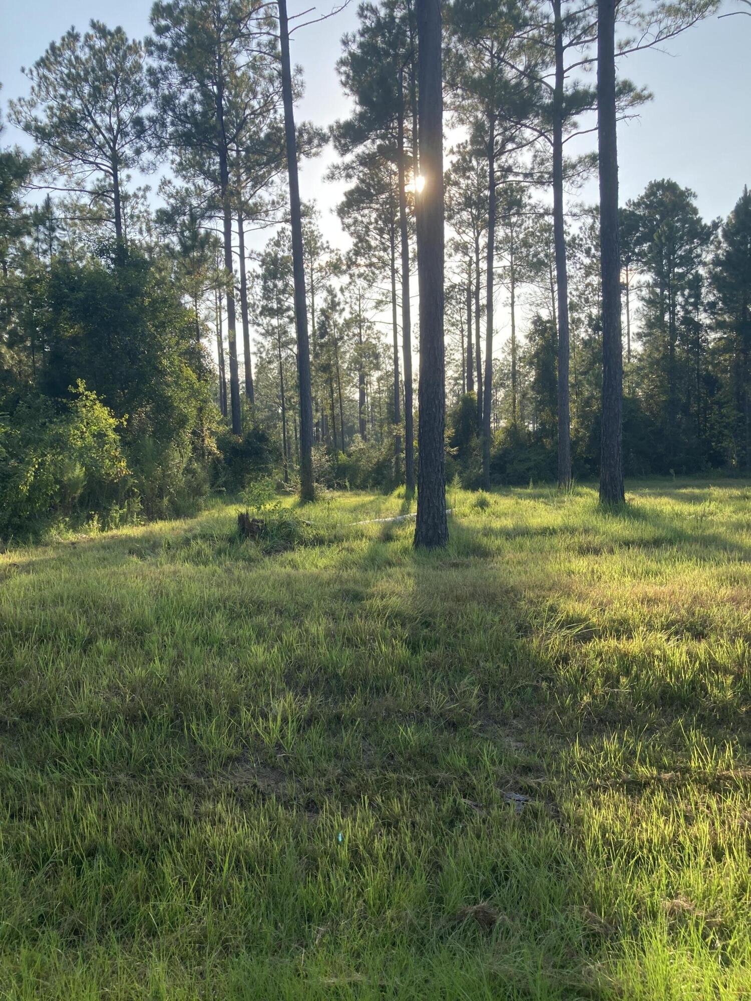 Cypress Crossing - Land