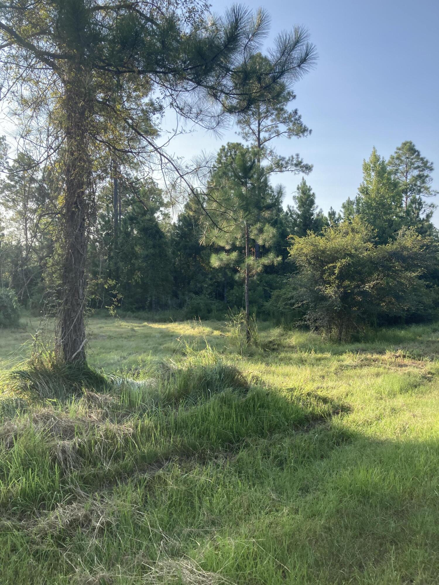 Cypress Crossing - Land