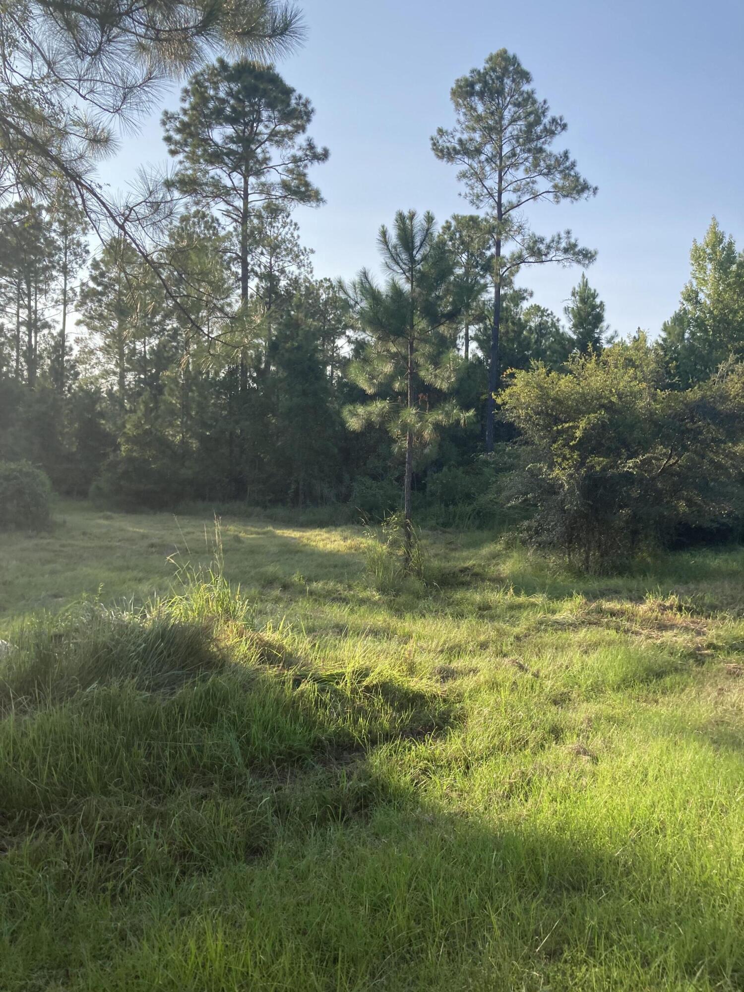 Cypress Crossing - Land