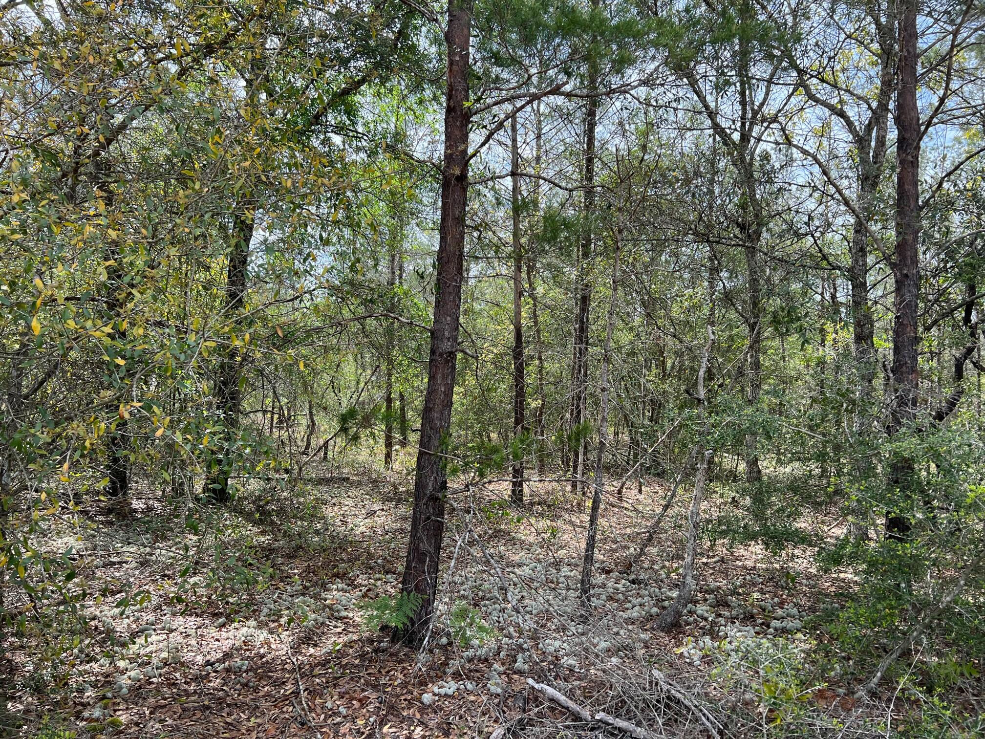 OAKWOOD HILLS UNIT 5 - Land