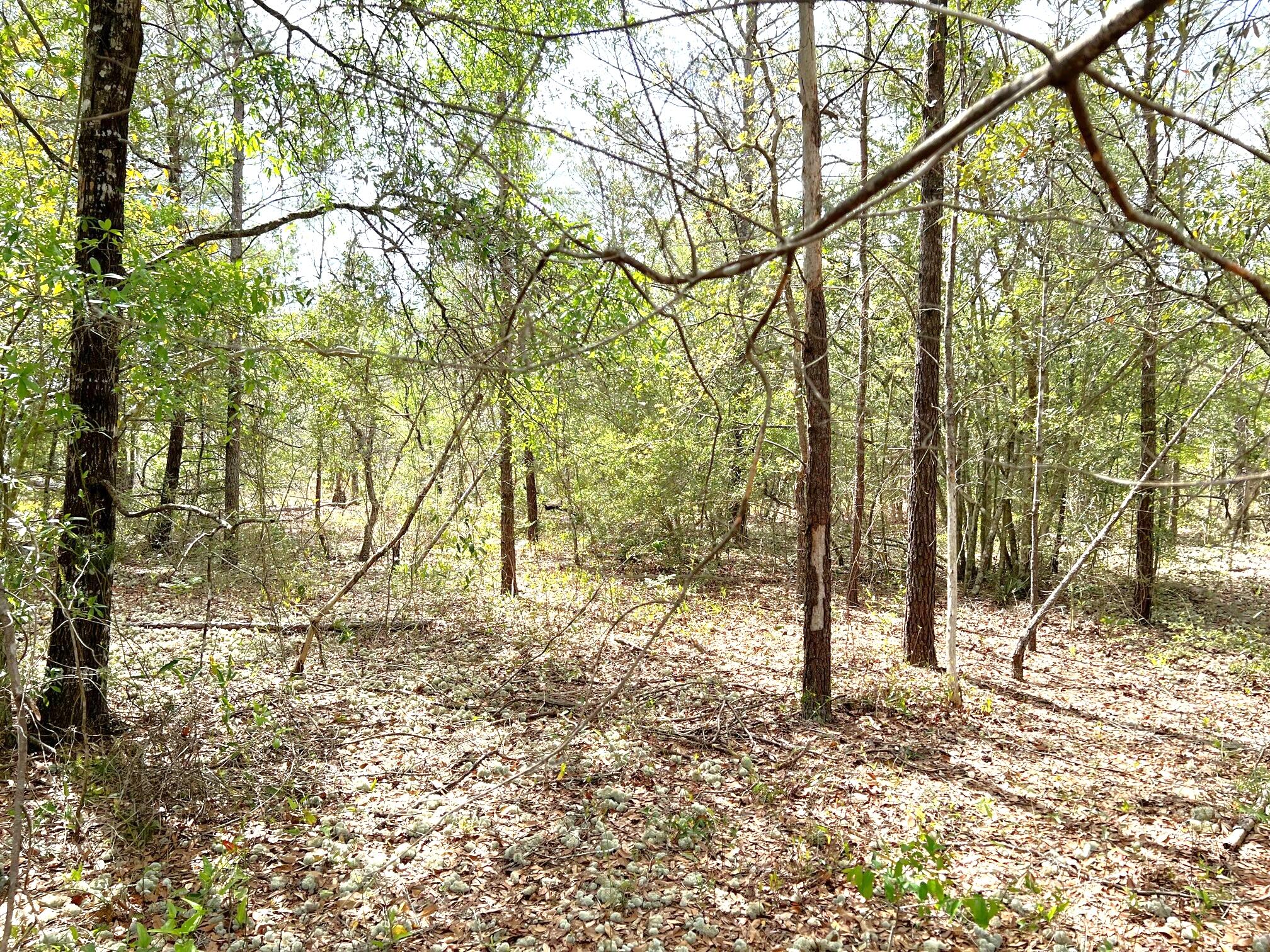 OAKWOOD HILLS UNIT 5 - Land