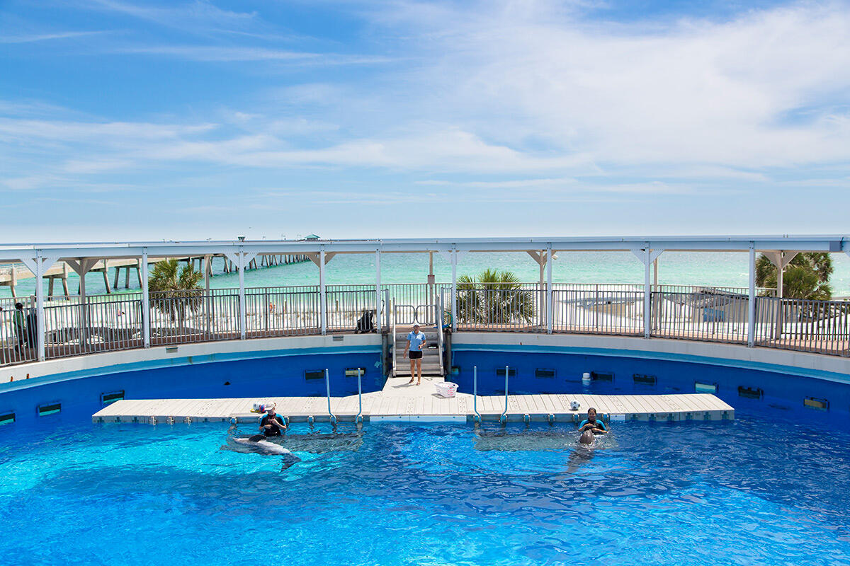 TURTLE WALK CONDO - Residential