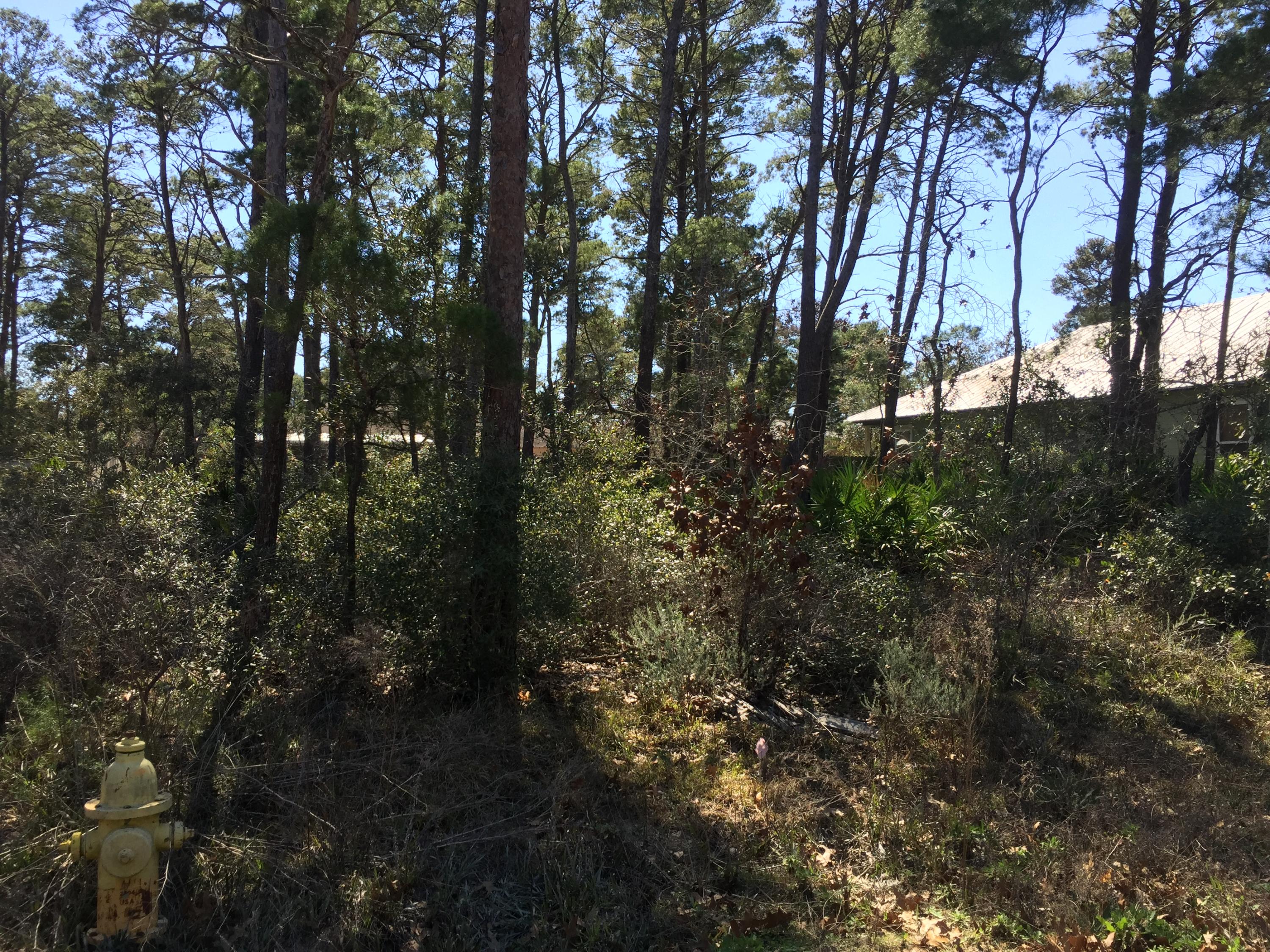 GULFVIEW HEIGHTS - Land