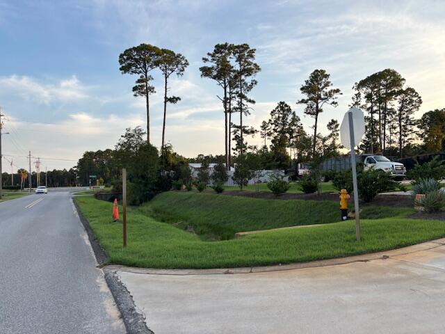 Palmetto Trace - Land