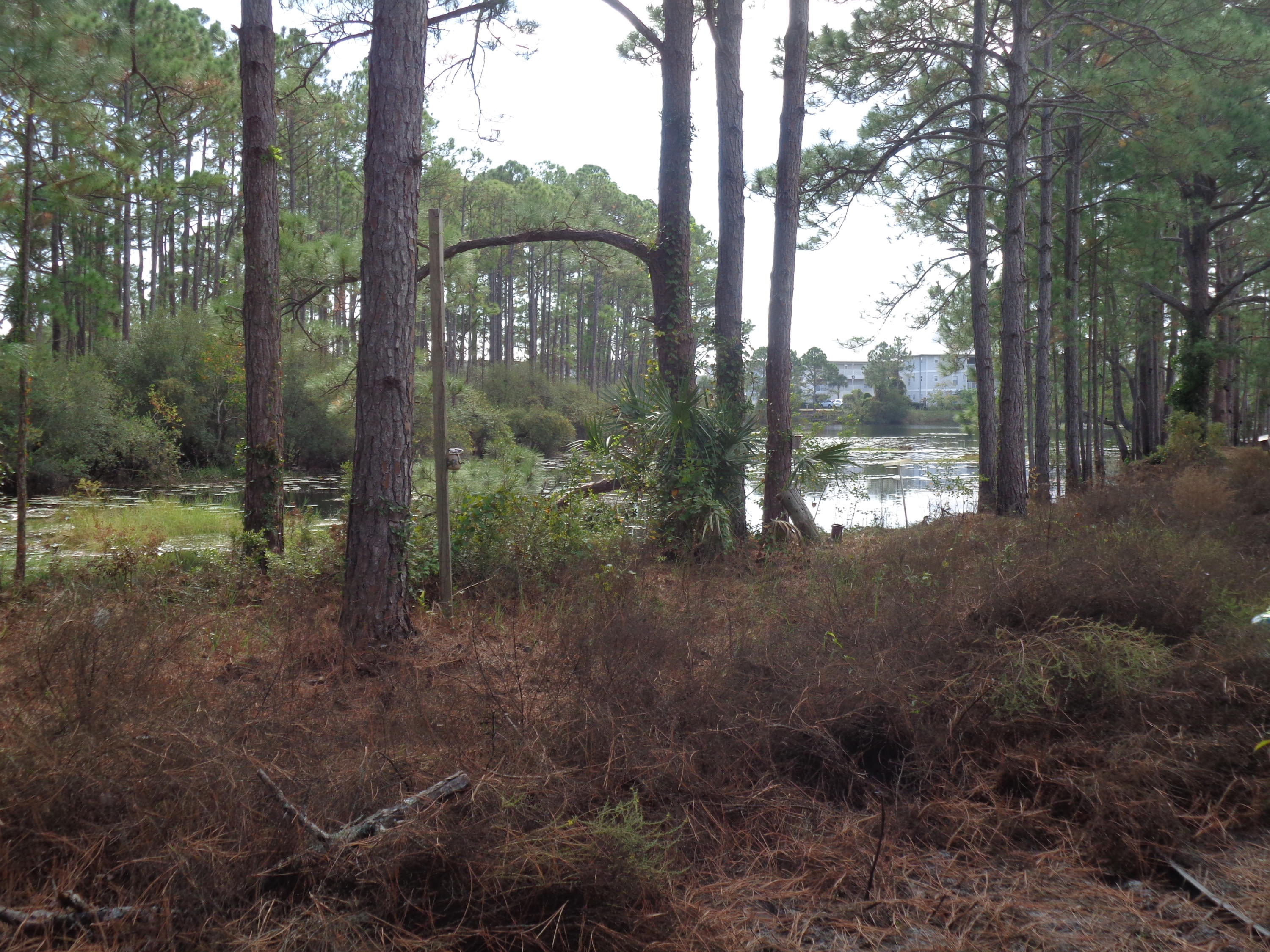 Rare find, south of 30-A with 75' overlooking Tresca Lake, with nearby beach access.  No HOA, no build out times.  Eastern Lake boat/kayak launch across street, easy access to 30-A's bike path, close to great restaurants and shopping.  Parcel ID reflects 3 lots, all being sold separately.
***Buyer is responsible for personally verifying details about this property.  Any information contained in this listing is believed to be accurate but is not guaranteed.***