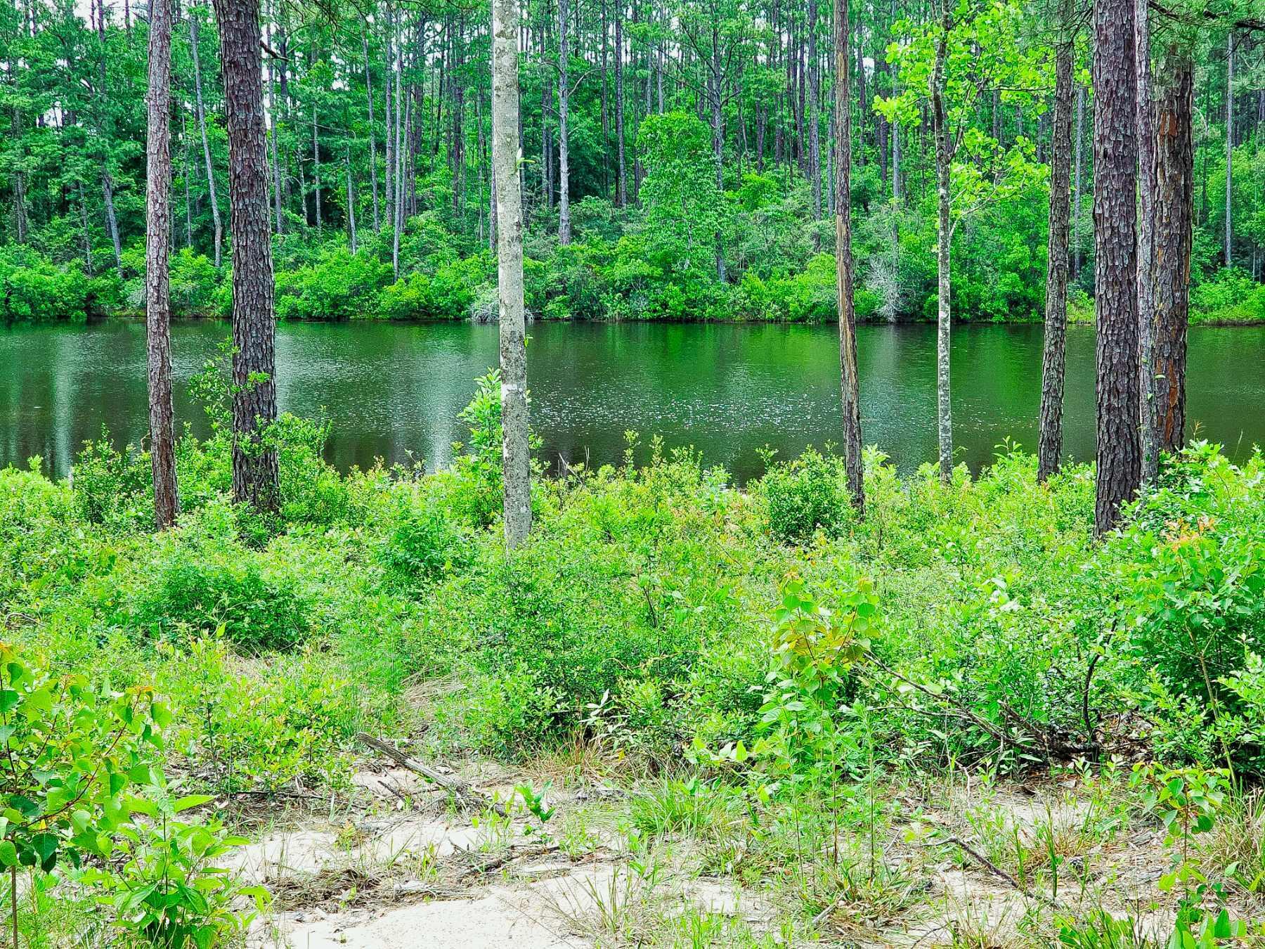 PINECREST ACRES UNREC - Land