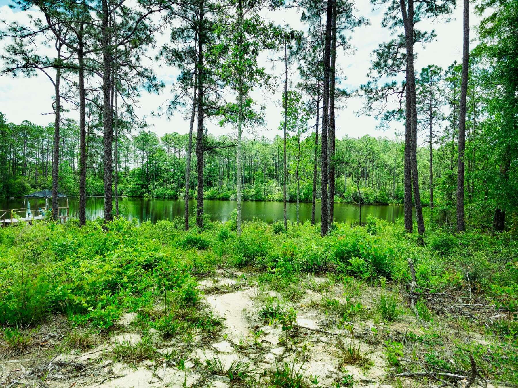 PINECREST ACRES UNREC - Land