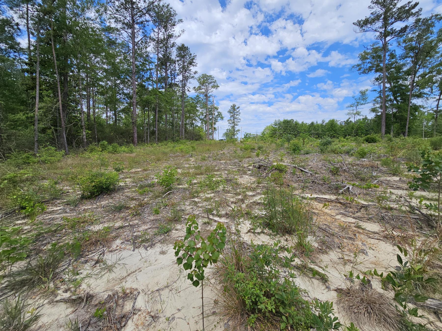 PINECREST ACRES UNREC - Land