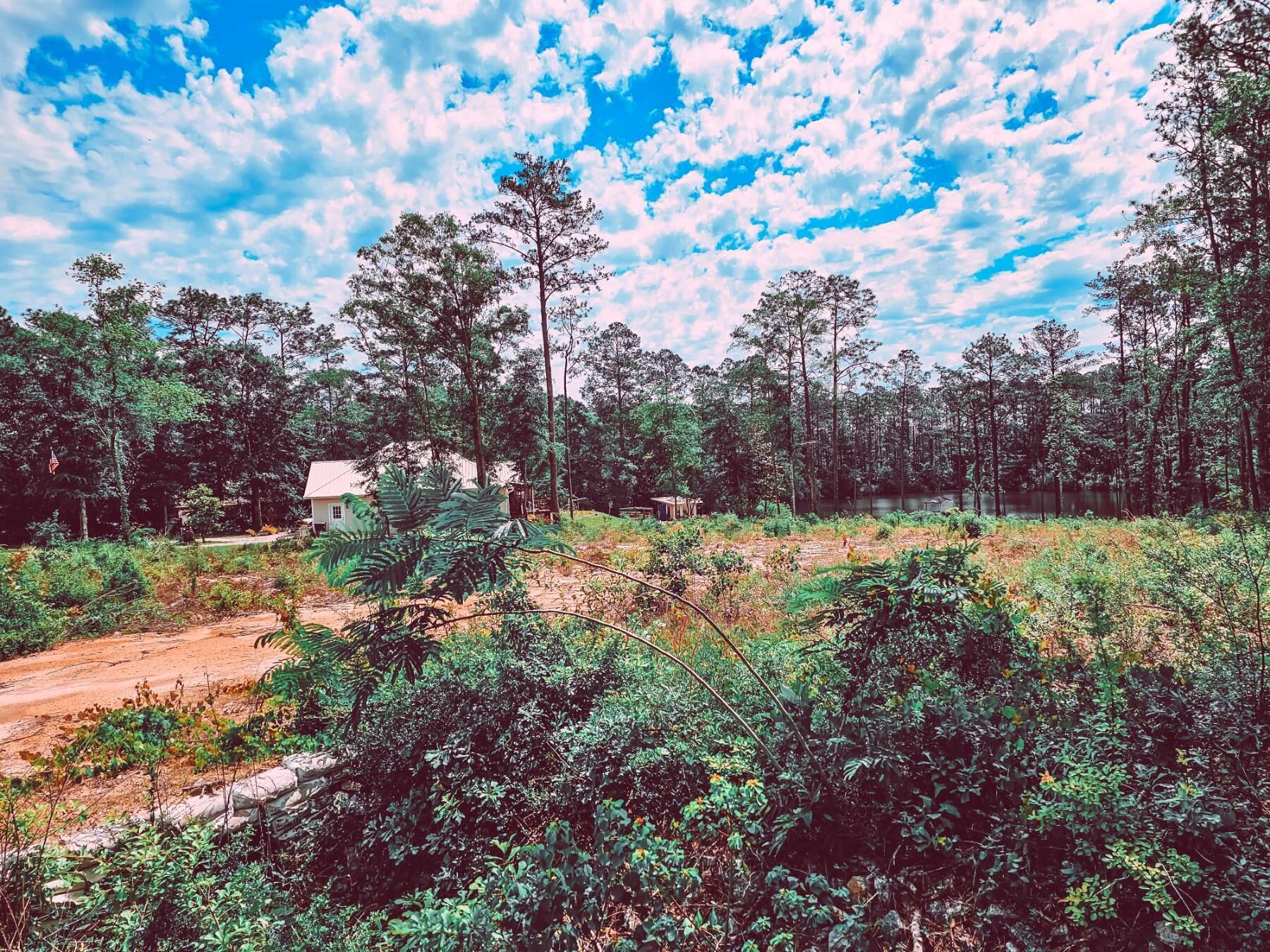 PINECREST ACRES UNREC - Land