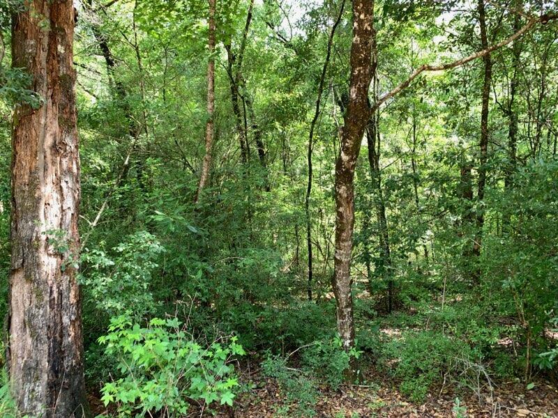 Blue Creek S/D - Land