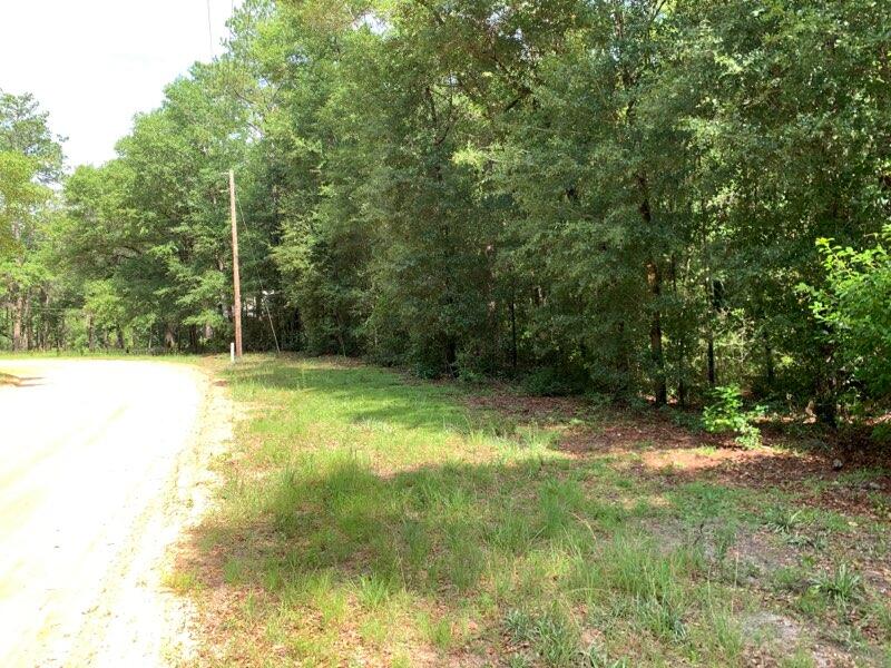 Blue Creek S/D - Land