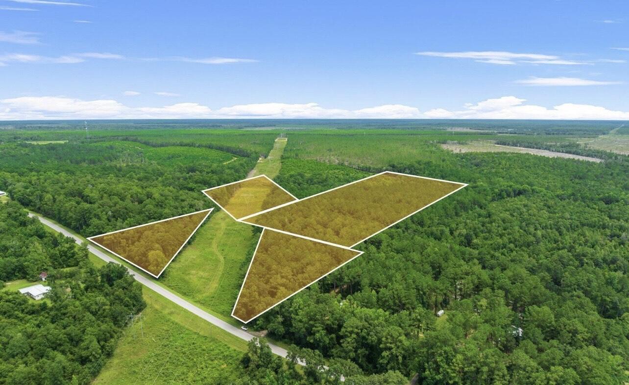 Land sale consisting of three parcels totaling 42 acres in Washington County off of Millers Ferry Road. Parcel ID's are 00000000-00-5345-0000, 00000000-00-5421-0000, and 00000000-00-5436-0000 Mixed zoning including Timberland of 22.5 acres and swamp 19.5 acres. Possible wetland mitigation with the low lying pieces. Seller is motivated and will look at all offers!