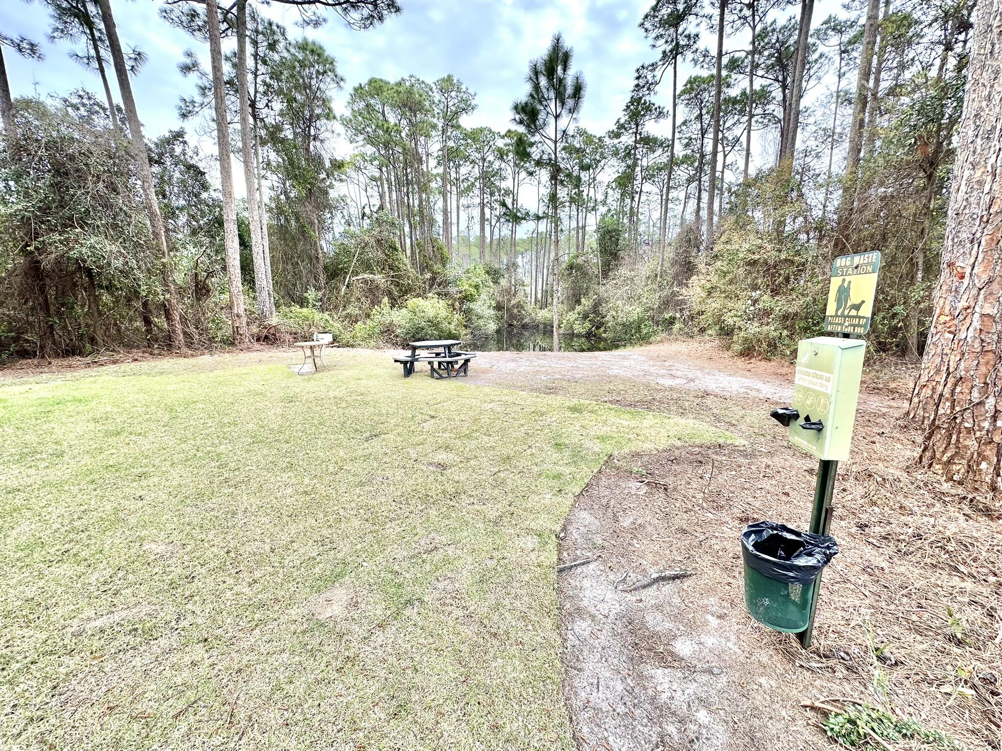 POINT OF VIEW - Residential Lease