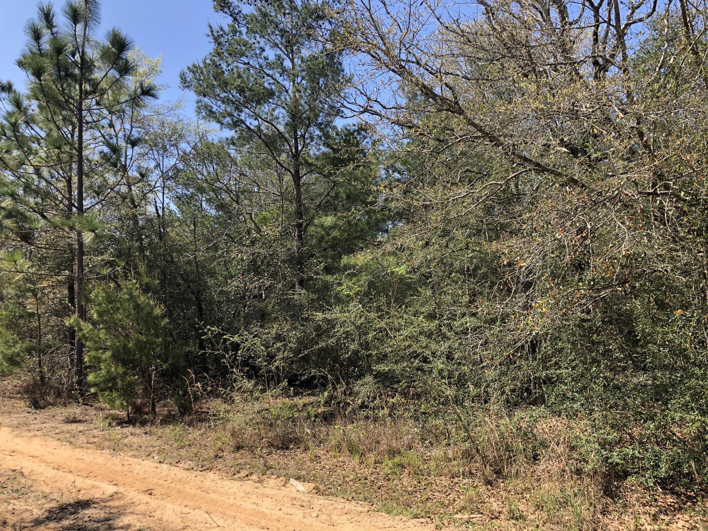 Juniper Lake Estates - Land