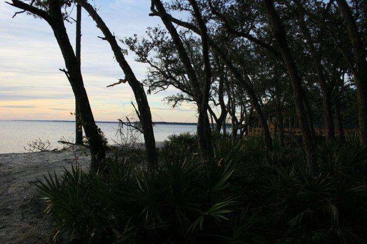 HAMMOCK BAY - Land