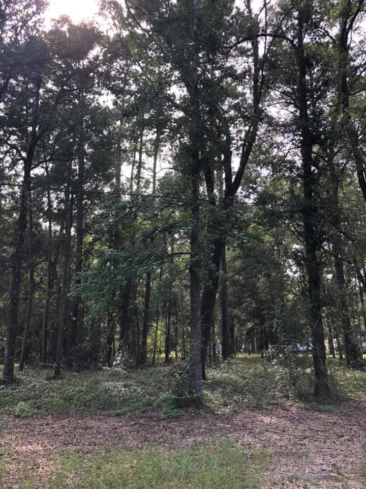 CHARLOTTE ESTATES - Land