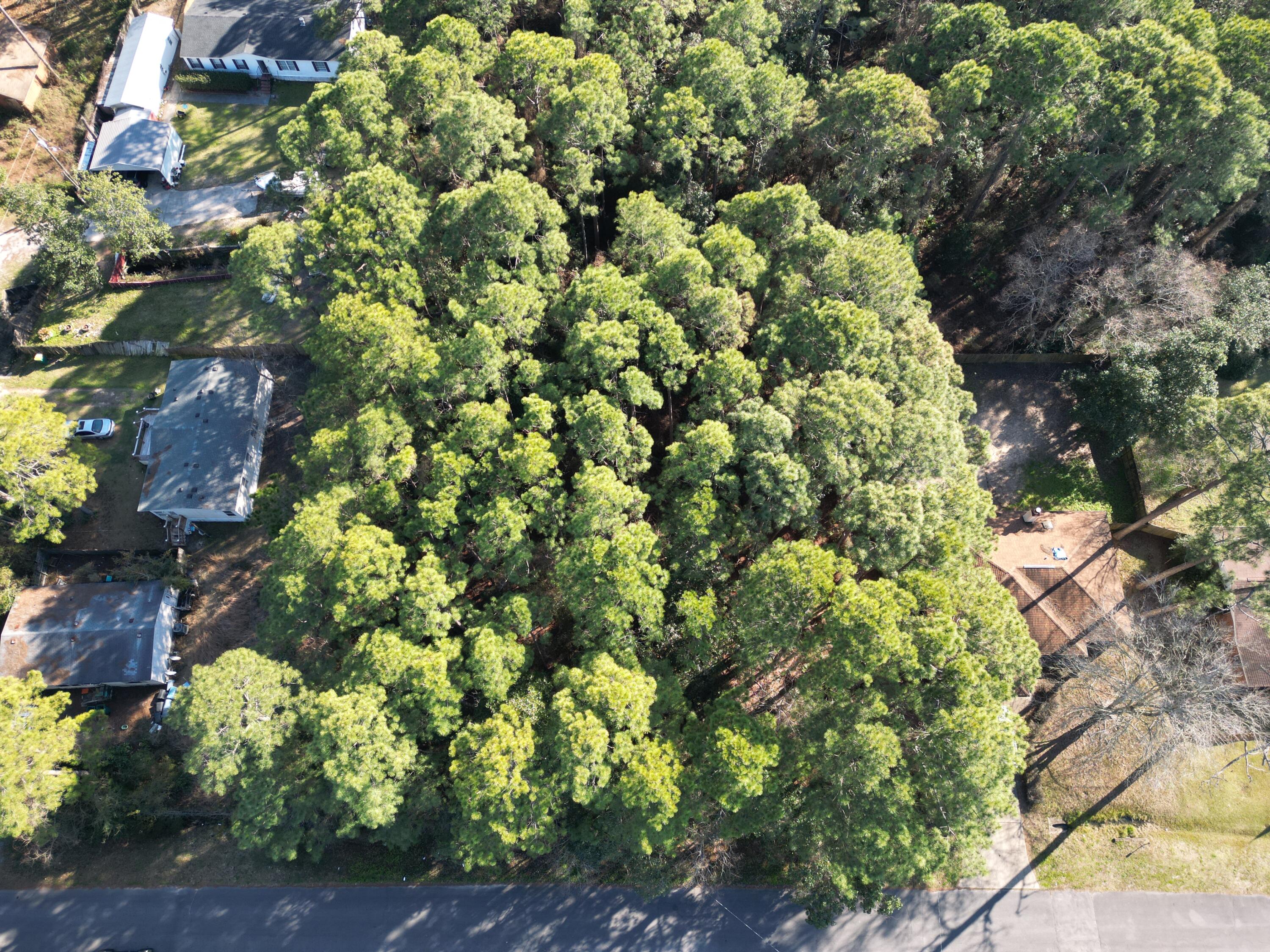 WYNNEHAVEN BCH ESTATES - Land