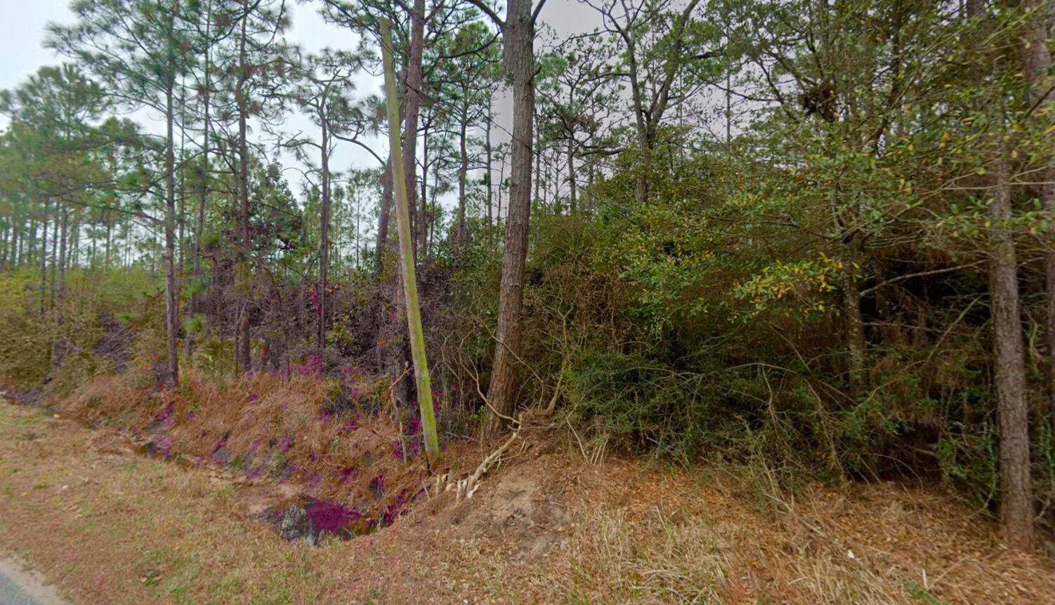 HOLLEY/NAVARRE - Land