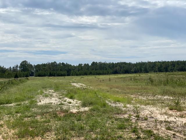 Level Homesite! Bring the horses! Great Location near Holt Crestview I-10. The stars still shine, and the whippoorwills still sing here! Just out of town for a quick commute to area bases and shopping!
 Subject to survey and lot split.