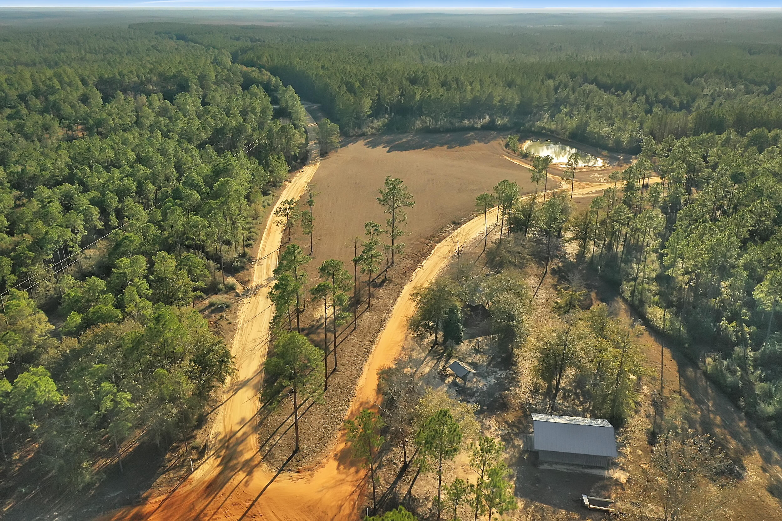 WALTON PLANTATION - Land