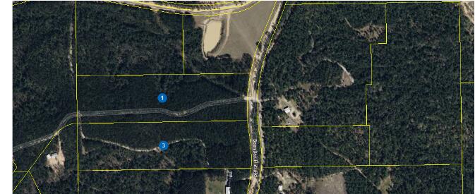 WALTON PLANTATION - Land