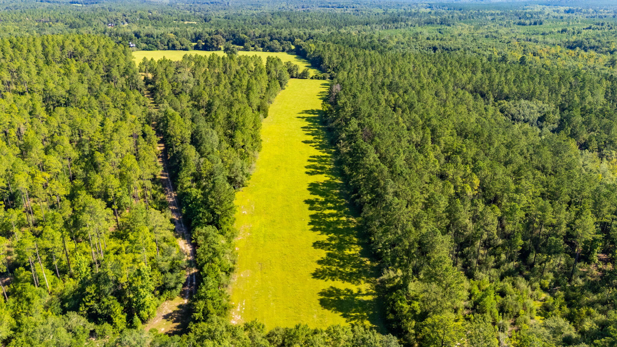 Vacant agricultural land offers endless possibilities for the outdoor enthusiast or homesteader. Envision establishing your ideal residence surrounded by nature's beauty. The land features carefully maintained fenced pastures, perfect for raising livestock or horses, while valuable timber adds both aesthetic charm and potential investment value. Planning to hunt, farm, or simply escape the hustle of city life, this property provides the perfect canvas. Embrace the tranquility of country living while creating a rural retreat. Property- offering sunrise views and spectacular stargazing opportunities! ****DO NOT GO ON PROPERTY WITHOUT APPOINTMENT - IT IS HUNTING SEASON!
