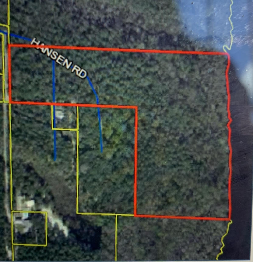 Property has 1,000+/- feet on Four Mile Creek. Water is deep and supports barge traffic. Property is high and dry with mature oaks. Property is south of Freeport Industrial Waterfront complex and zoned Industrial. Great developer opportunity. The property has the potential to be rezoned residential and possibly annexed into the City of Freeport. The property's Tax District is County (District 5). The City of Freeport water and sewer is near the entrance to the property.  Adjacent 5.14 acres included in this purchase. 22-1S-19-23010-000-0110. Buyer to verify all dimensions and details.