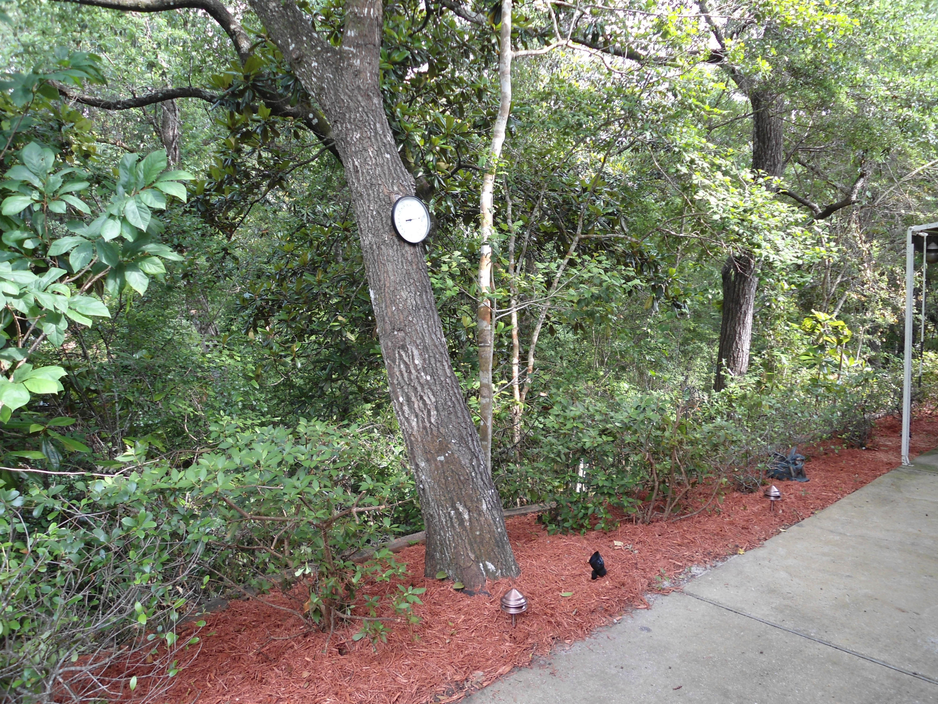 ROCKYWOOD PH 5 - Residential Lease