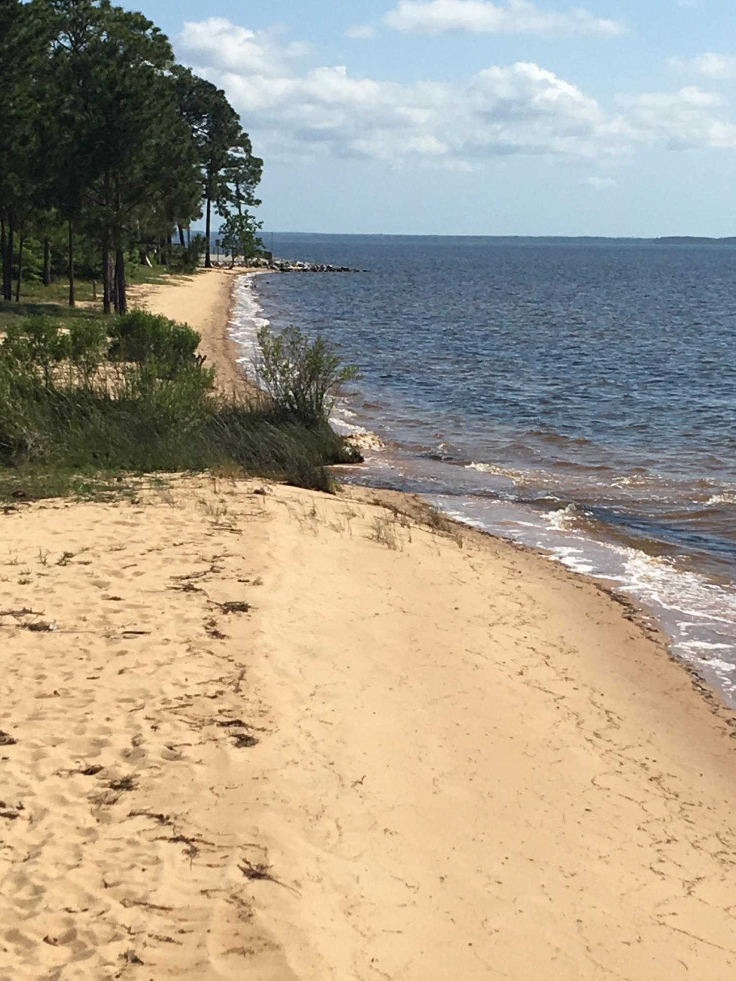 Lot 1, Block E, Sea Pines s/d and southerly 1/2 of adjacent ROW (vacated) Bayview CT adjacent to lot - Land
