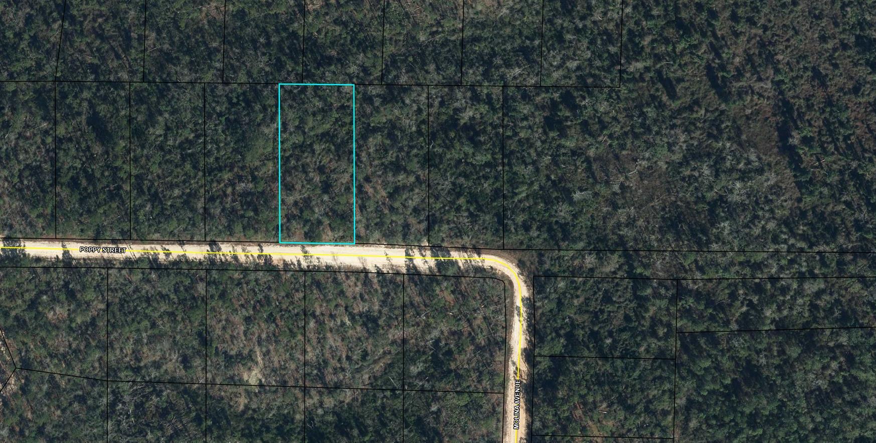 Large 1.165 acre lot in Compass Lake in the Hills. There is a voluntary HOA of $135 a year, but what a great price for all the amenities that are included such as: access to 2 lakes for fishing, tennis, horse stables / riding, rental cabins, RV spots, boat rentals, clubhouse, and a golf range. Being an all-sports lake, enjoy water skiing, tubing, jet skiing, boating, sailing, kayaking & swimming. No need to worry about lunch while out on the water when you have a boat accessible shoreline restaurant. This location is great for someone who enjoys nature and a short drive to the beach since it is located half way between Panama City And Dothan. The area is rich in historical significance, with many restored antebellum plantation homes open for tours or as bed-and-breakfast SELLER HAS MANY PARCELS, ALL LISTED, AND WILLING TO SELL INDIVIDUAL OR IN A PACKAGE