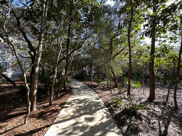 Lake Place at Grayton Beach - Land