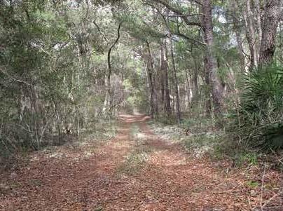 DEER MOSS CREEK PH 1 - Residential
