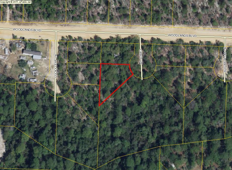 Nice lot on a cul-de-sac in one of the fastest growing areas of North Walton County. Conveniently located between DeFuniak Springs and Crestview makes the commute to either place a breeze. Site built homes or manufactured homes are allowed. Take a look, this could be your new homesite!
