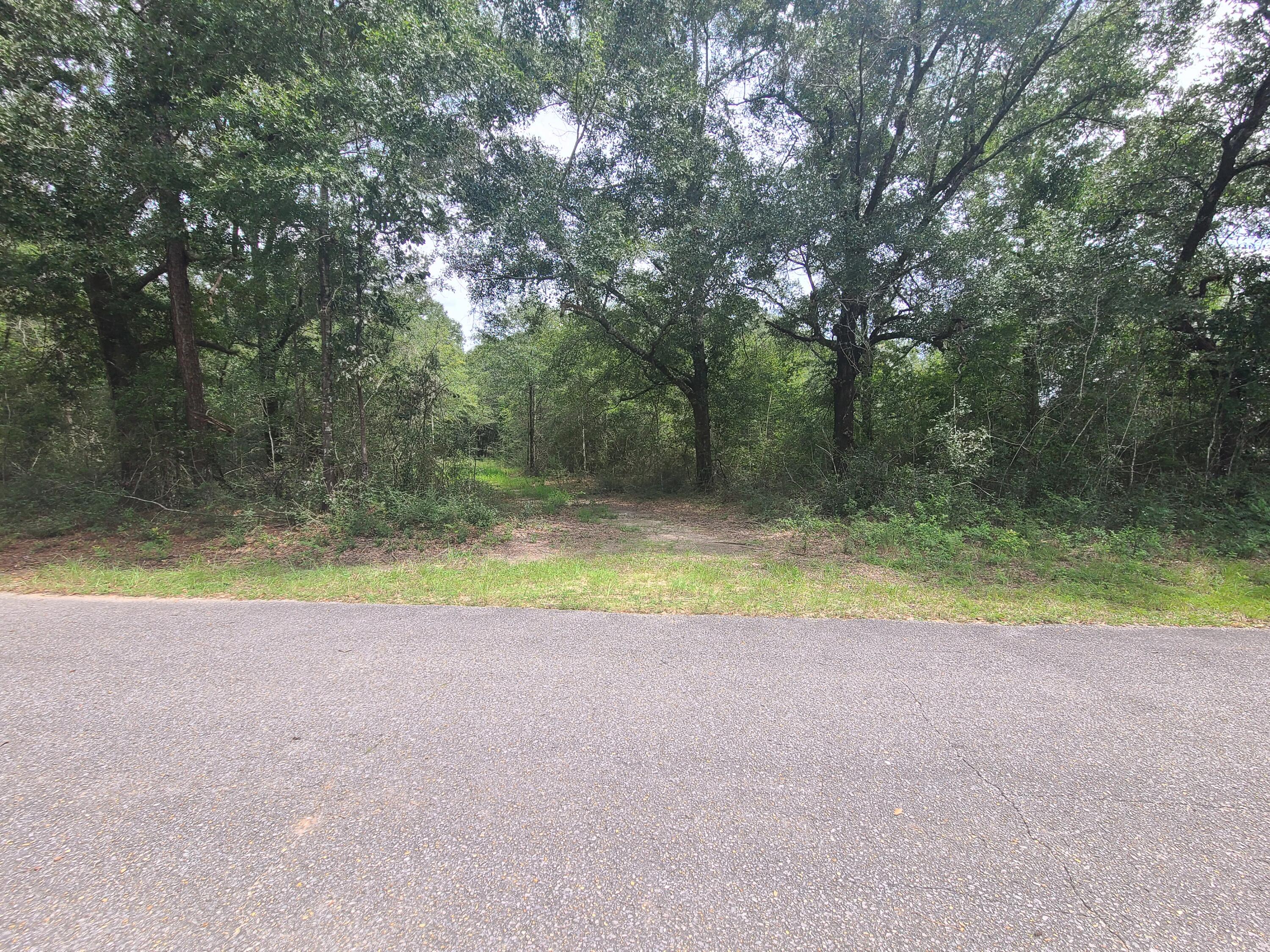 MULTI-OFFERS RECEIVED - SELLER CALLING FOR HIGHEST AND BEST BY 5 PM ON SUNDAY, OCTOBER 2, 2022. 

Almost 5 Acres of Premium Land just south of I-10 in Milton. High and dry with lots of large hardwoods, this property would be a beautiful site for your forever country home. Easy to get to Hwy 87 (about 3 miles) and south to Navarre/Hurlburt or jump on I-10 to Pensacola.  This area is expanding with new construction.  Isn't it time to stake your claim and own your own piece of this great land?