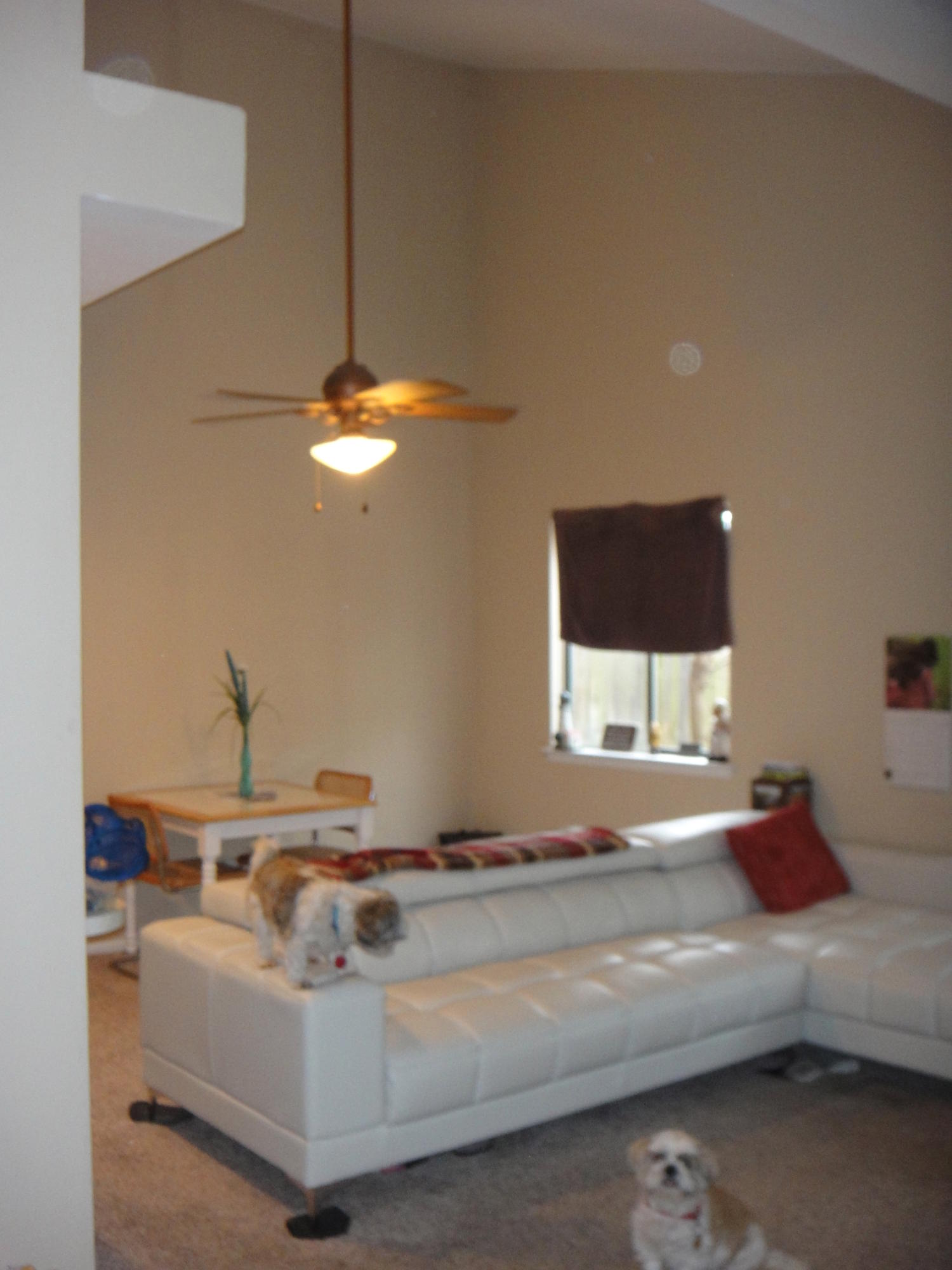 PINE RIDGE TRACE RE/SUB - Residential Lease