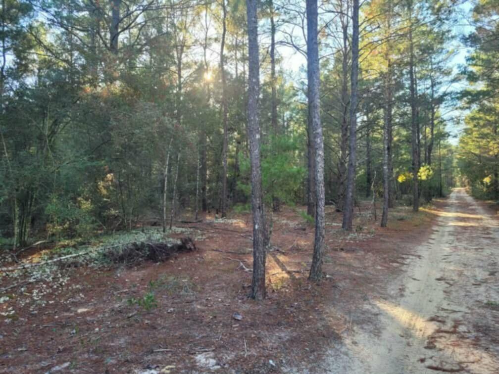 OAKWOOD HILLS UNIT II - Land