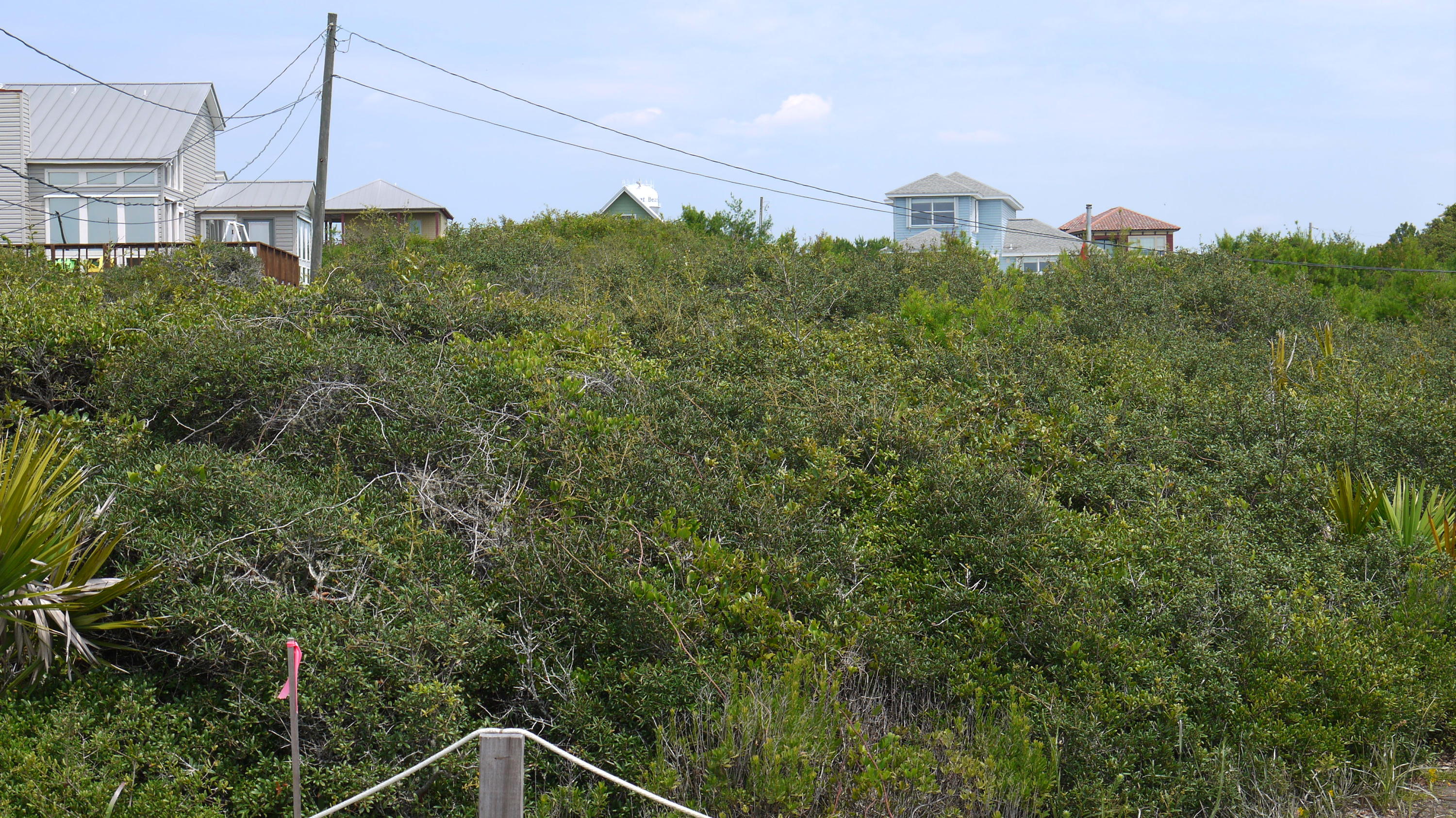 INLET BEACH - Land
