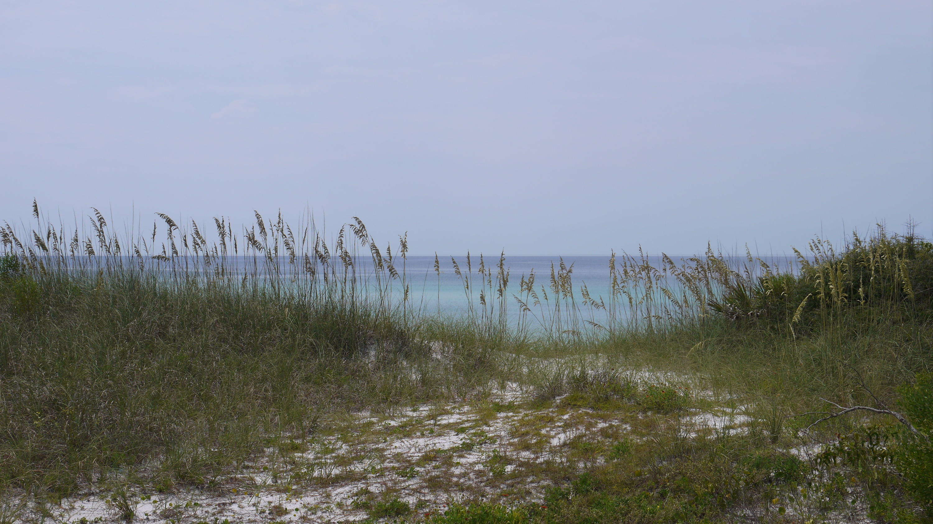 INLET BEACH - Land