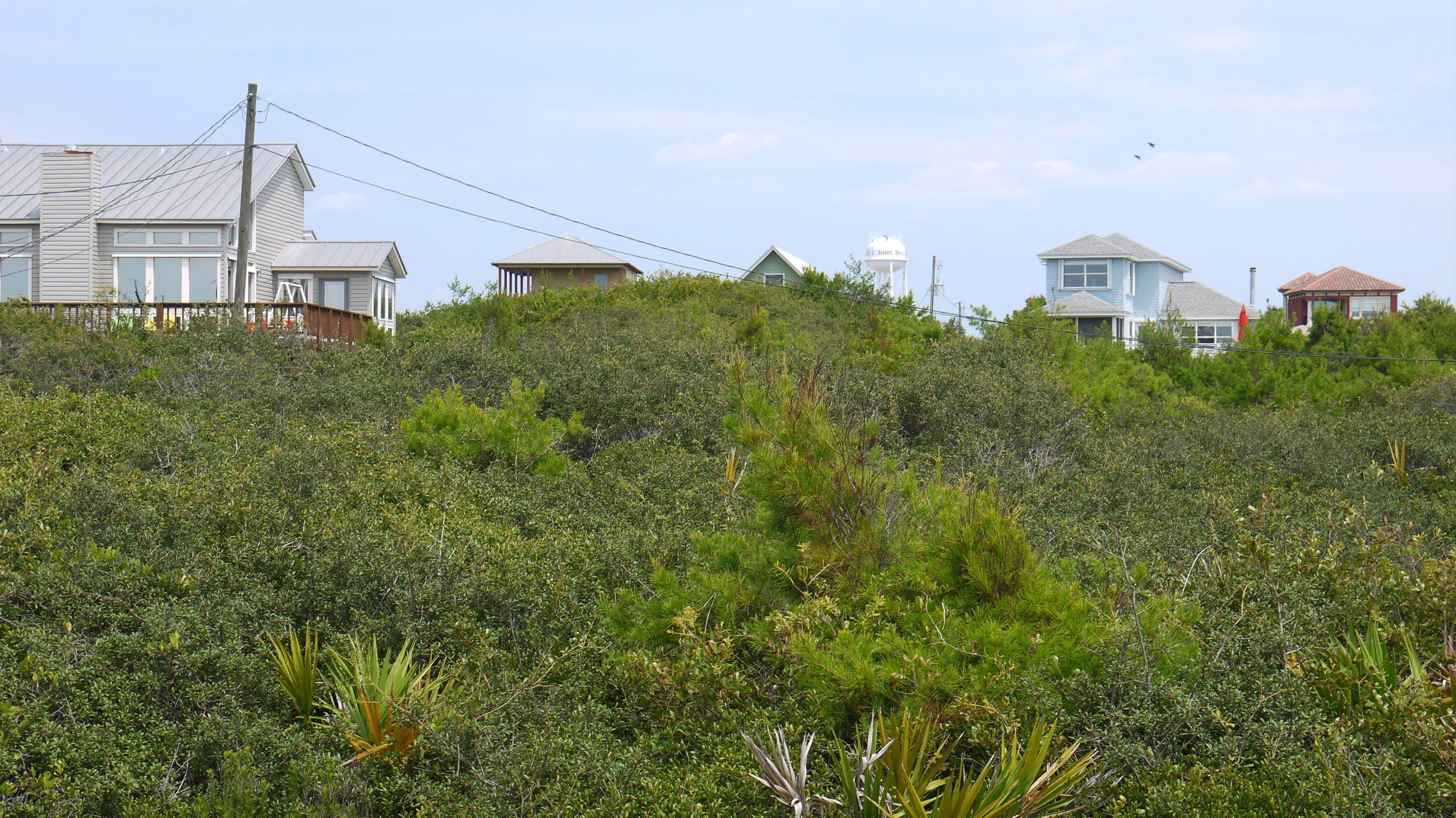 INLET BEACH - Land