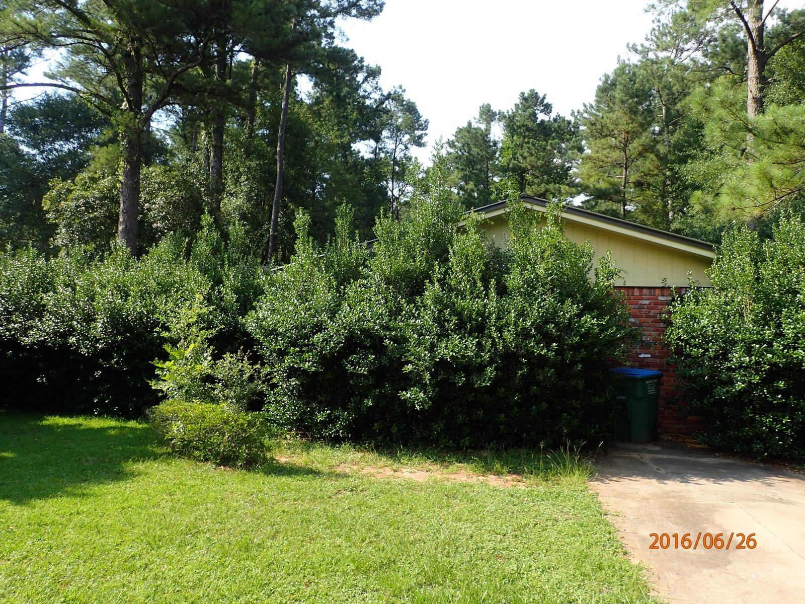 Adams Powell - Residential